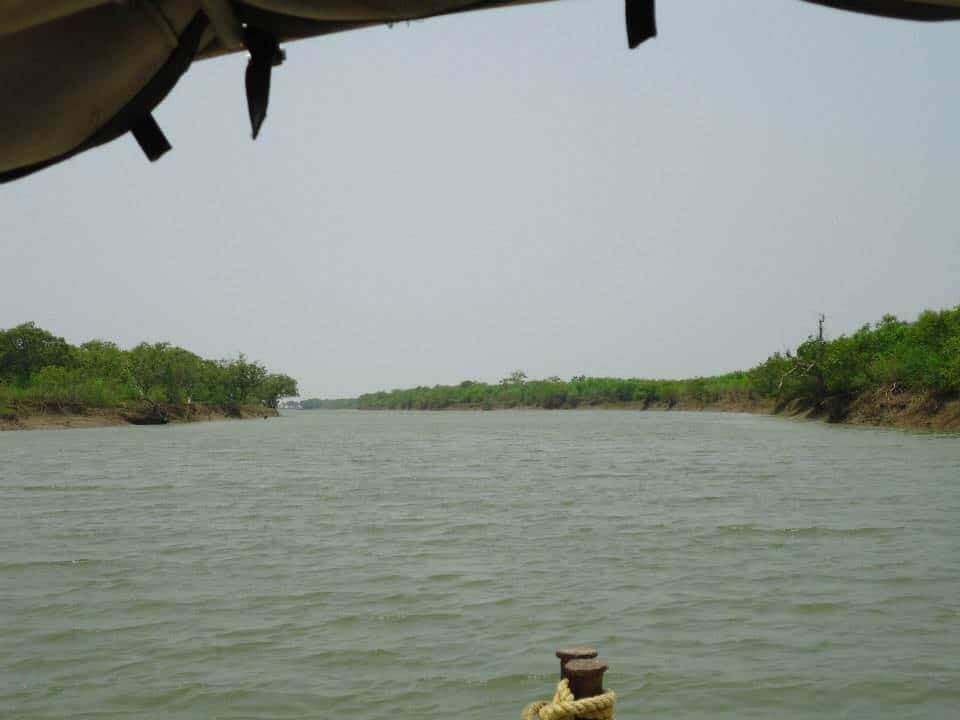 Bichitrapur Boat Ride