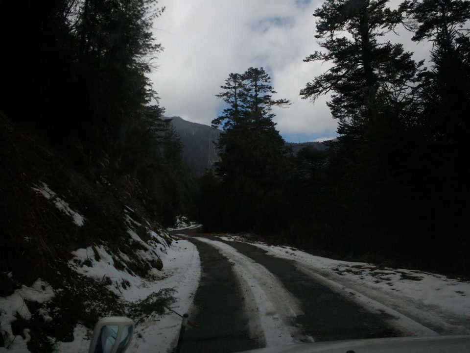 Way To Chelela Pass