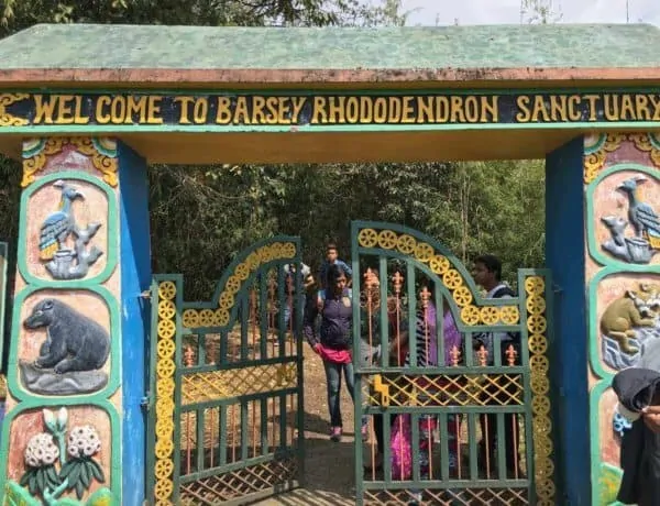 Barsey Rhododendron Sanctuary