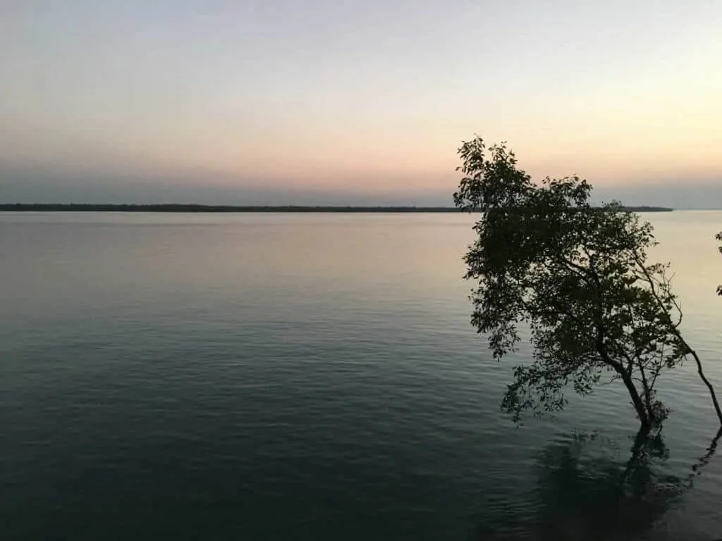 Evening View of Sundarban