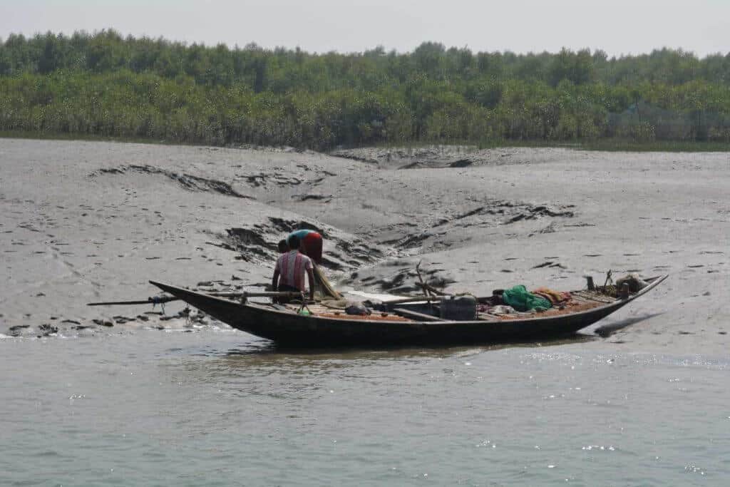 View of Sundarban