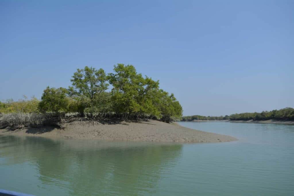View of Sundarban