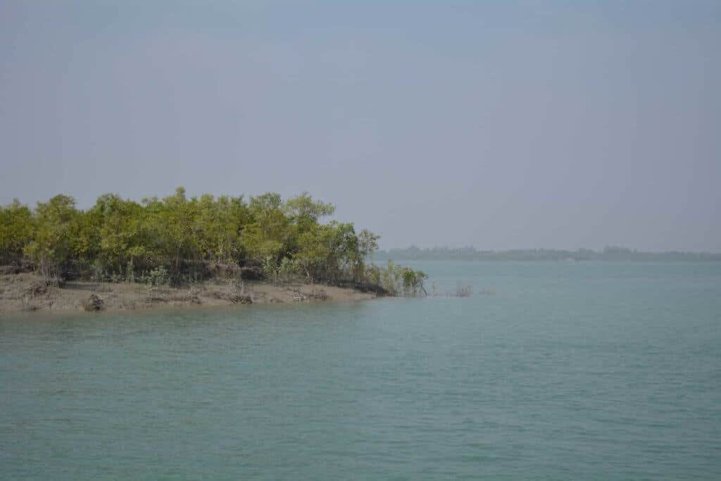 Trip To Sundarban