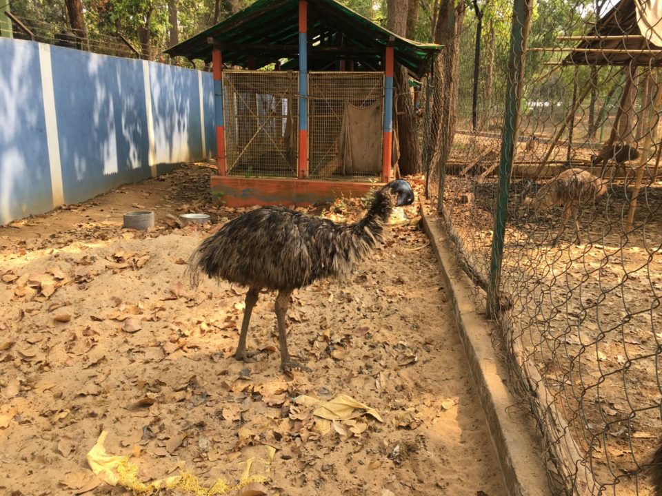 Jhargram Mini Zoo