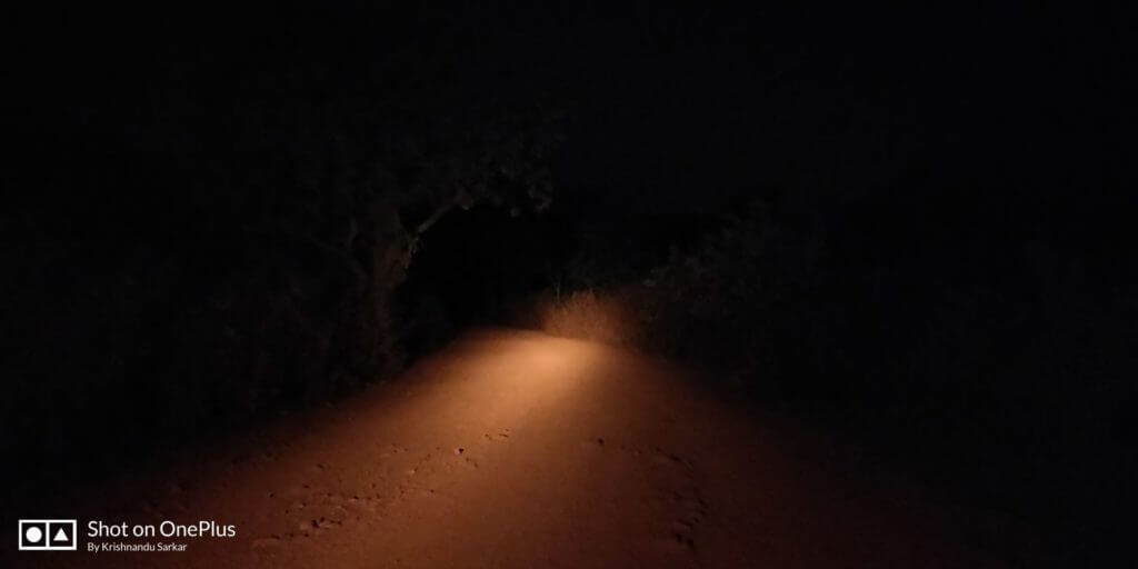 Night Safari at Saranda Forest