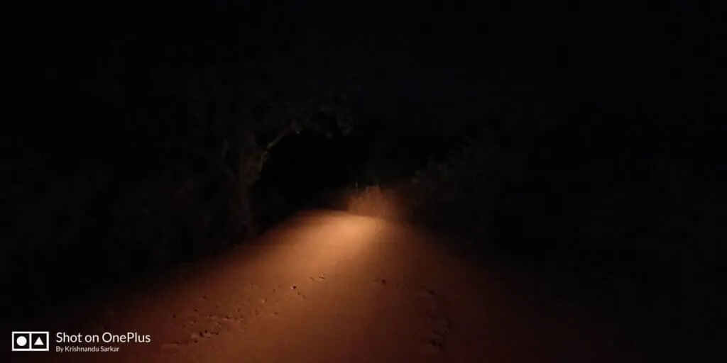 Night Safari at Saranda Forest