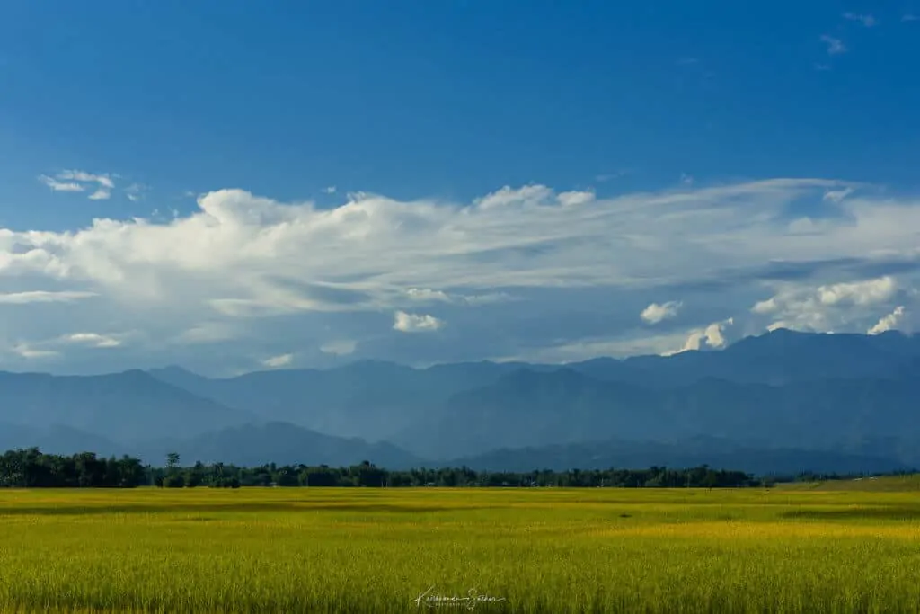 Green Valleys Across Assam Highways