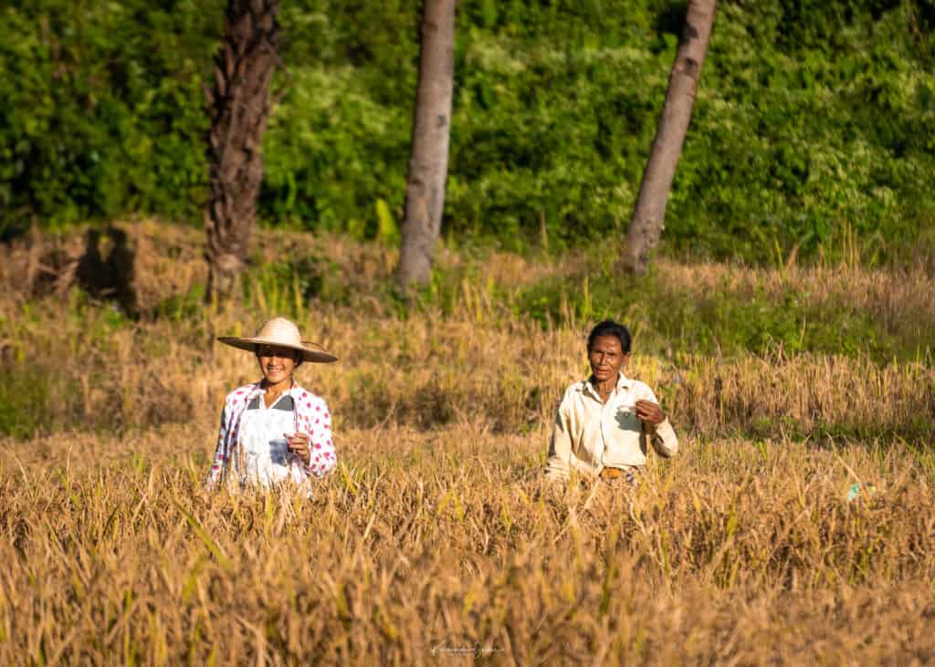 Farmers at Ledum Village