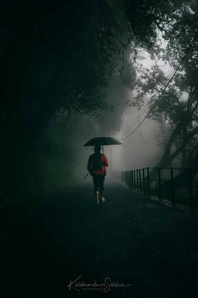 darjeeling in monsoon experience